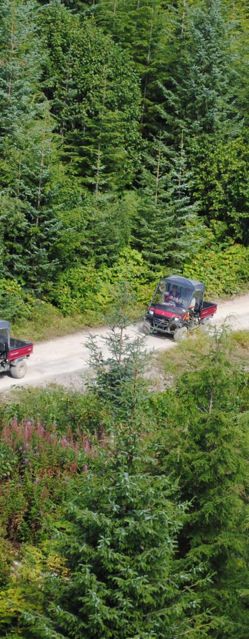 Two off-road vehicles on forest trail