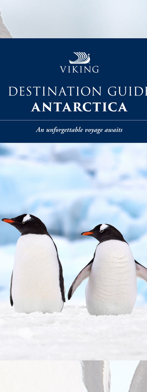 Antarctica Destination Guide with Gentoo Penguins Cover