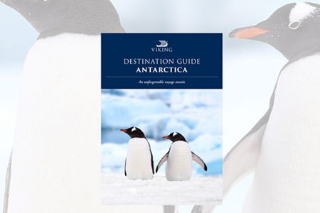 Antarctica Destination Guide with Gentoo Penguins Cover