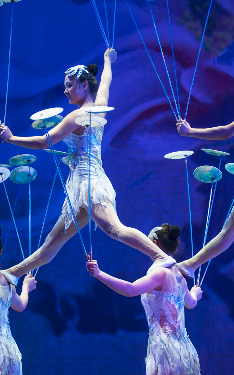 Acrobats balancing plates in vibrant performance