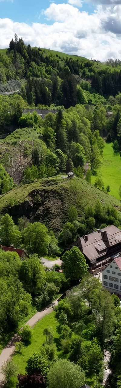 Scenic valley with bridge and buildings