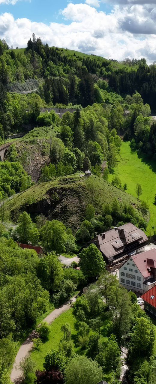 Scenic valley with bridge and buildings