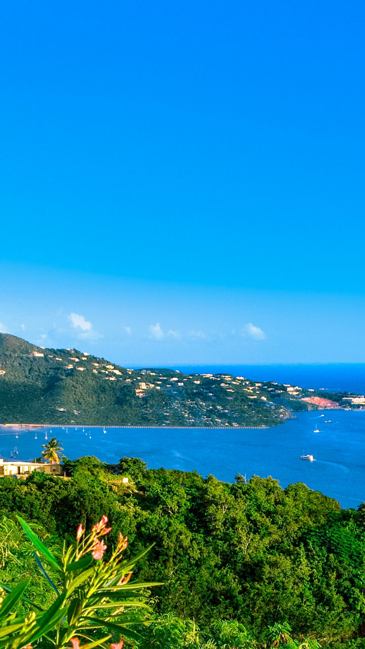 Scenic tropical island with lush greenery