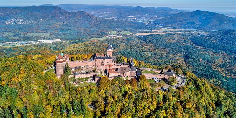 Aerial view of medieval castle in forest