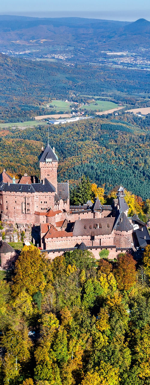 Aerial view of medieval castle in forest