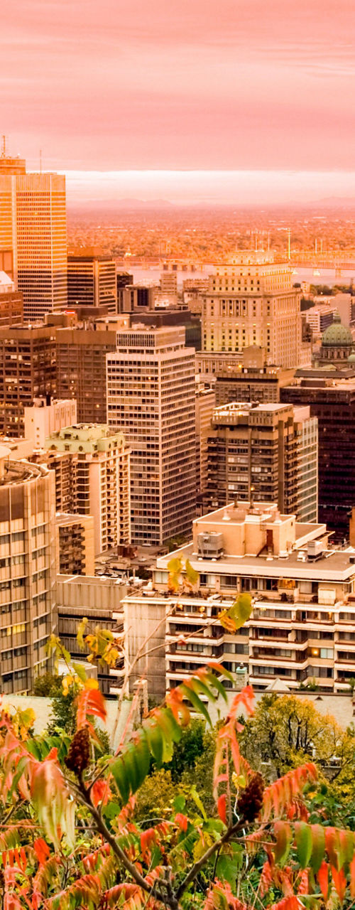Montreal cityscape at sunset with vibrant foliage