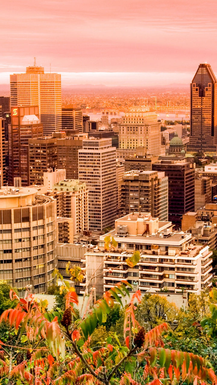 Montreal cityscape at sunset with vibrant foliage