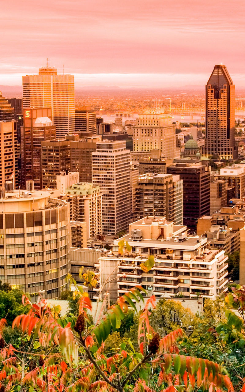 Montreal cityscape at sunset with vibrant foliage