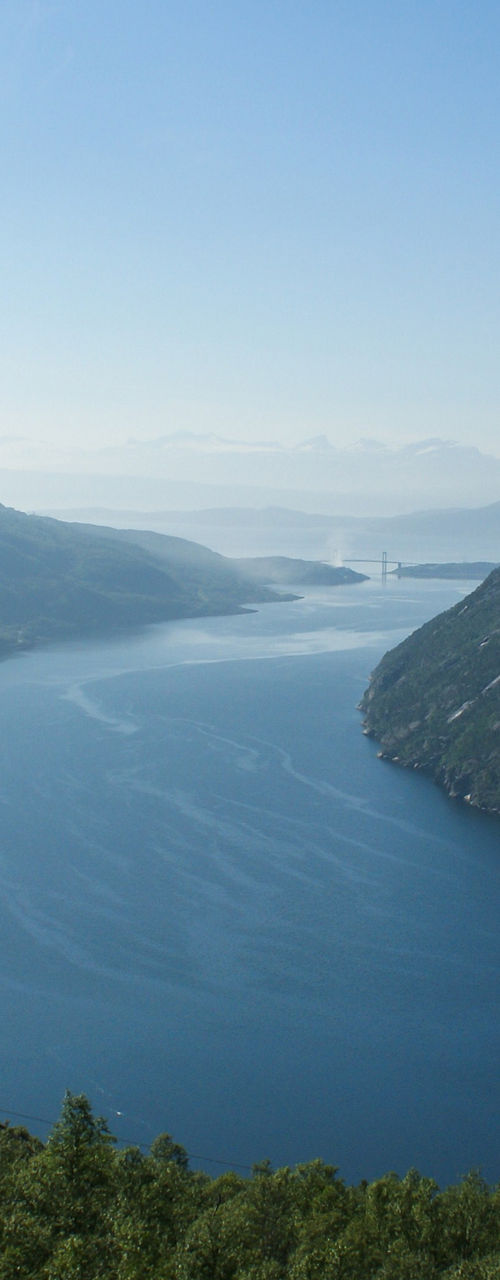 Scenic fjord view with mountain backdrop