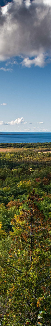 Scenic forest view with lake horizon
