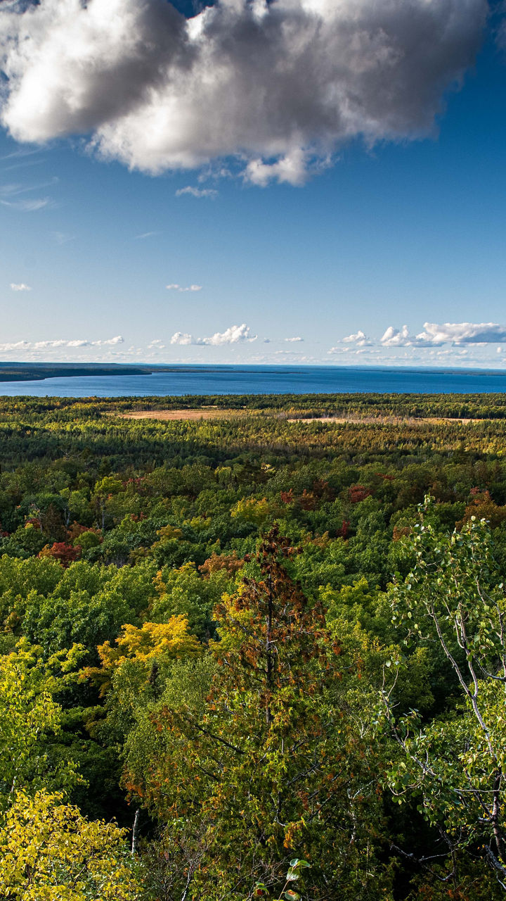 Scenic forest view with lake horizon