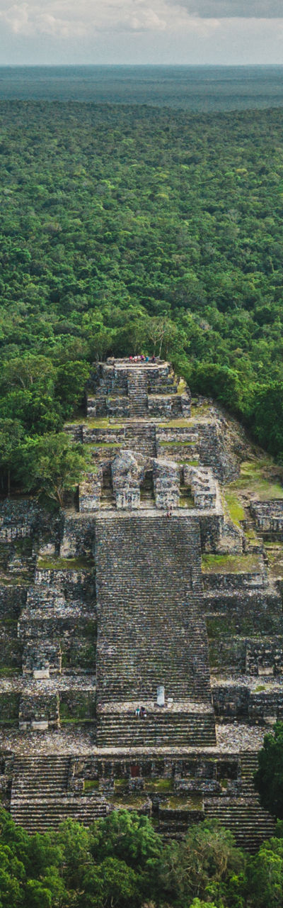 Ancient Mayan pyramid in lush jungle