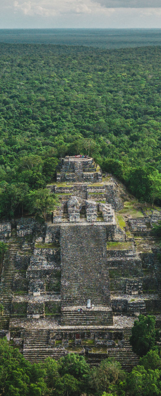 Ancient Mayan pyramid in lush jungle