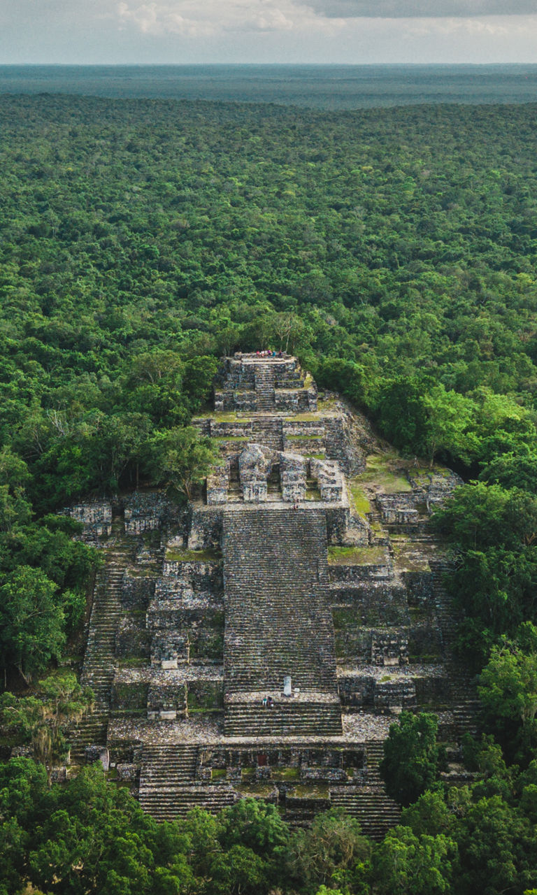Ancient Mayan pyramid in lush jungle