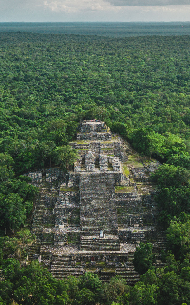 Ancient Mayan pyramid in lush jungle