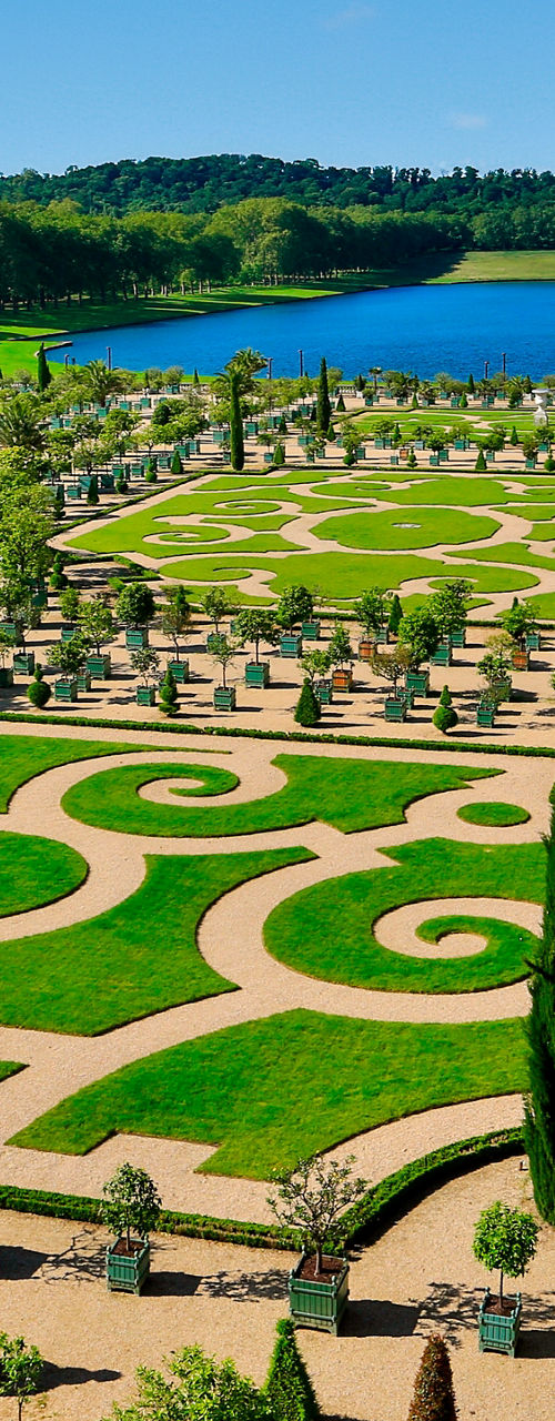 Elegant French garden with geometric design