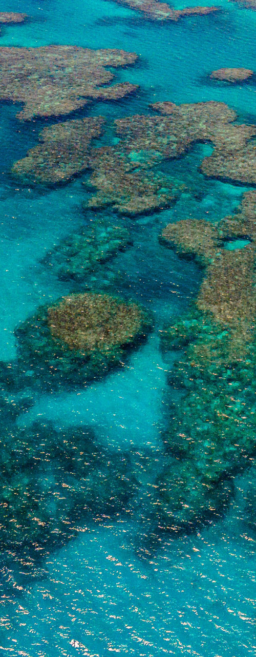 Aerial view of vibrant coral reef lagoon