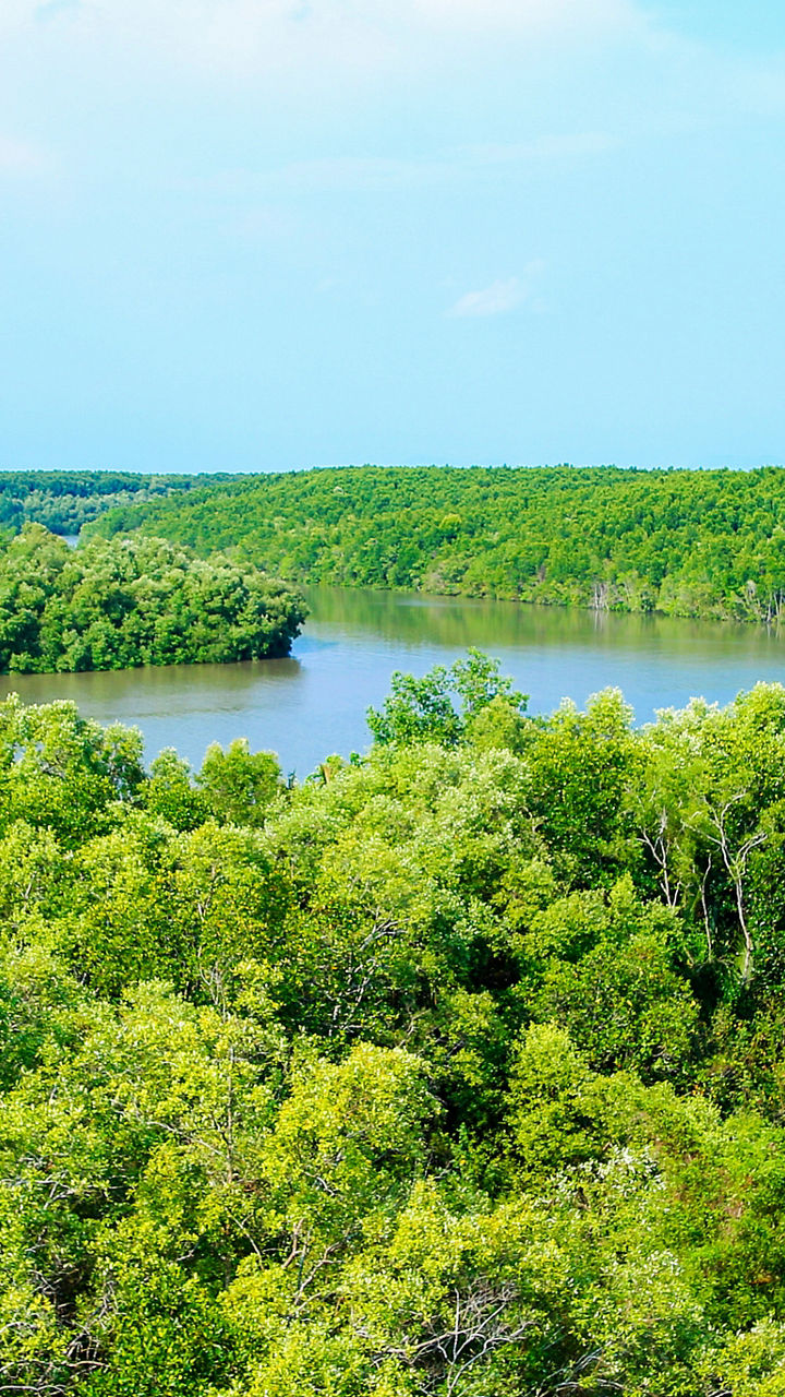 Can Gio Biosphere Reserve