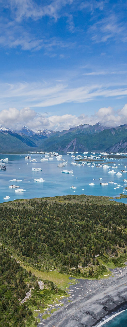 Scenic glacier bay with icebergs and mountains