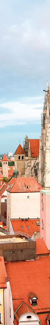 Aerial view of Regensburg Cathedral skyline