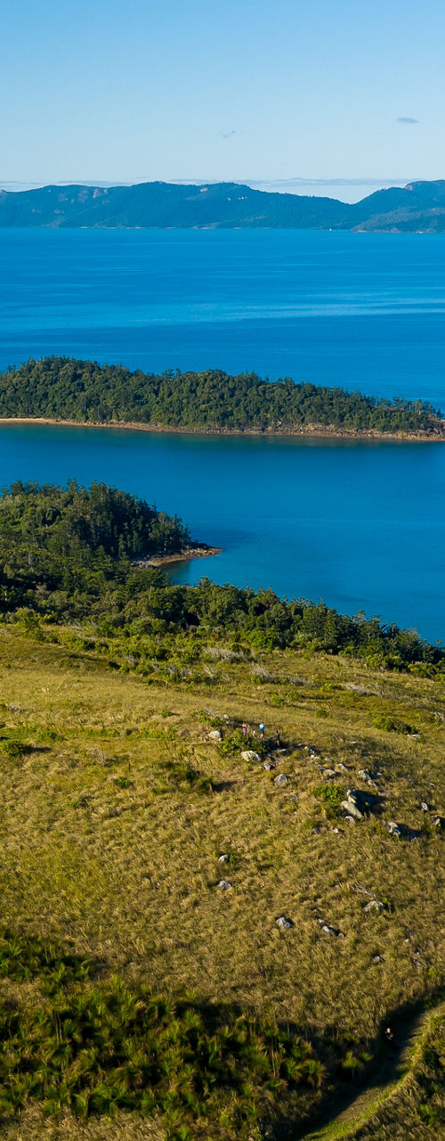 Coastal island landscape with winding hill trail