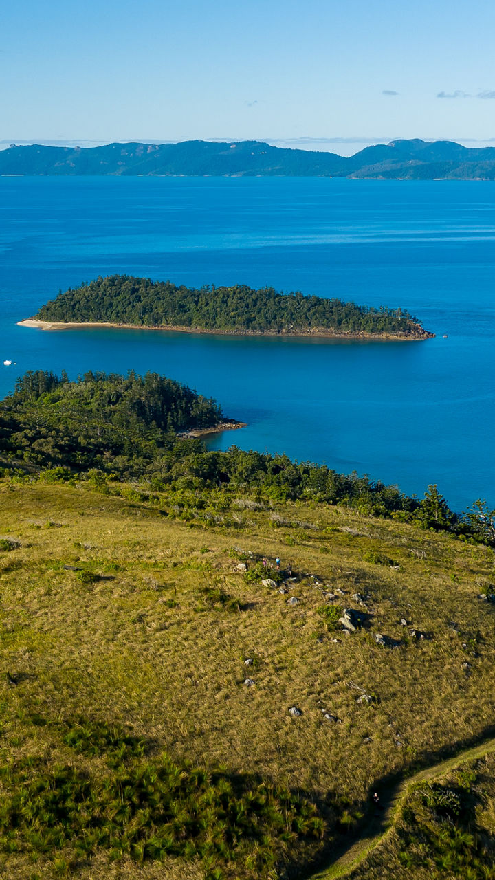 South Molle Island Nature Hike
