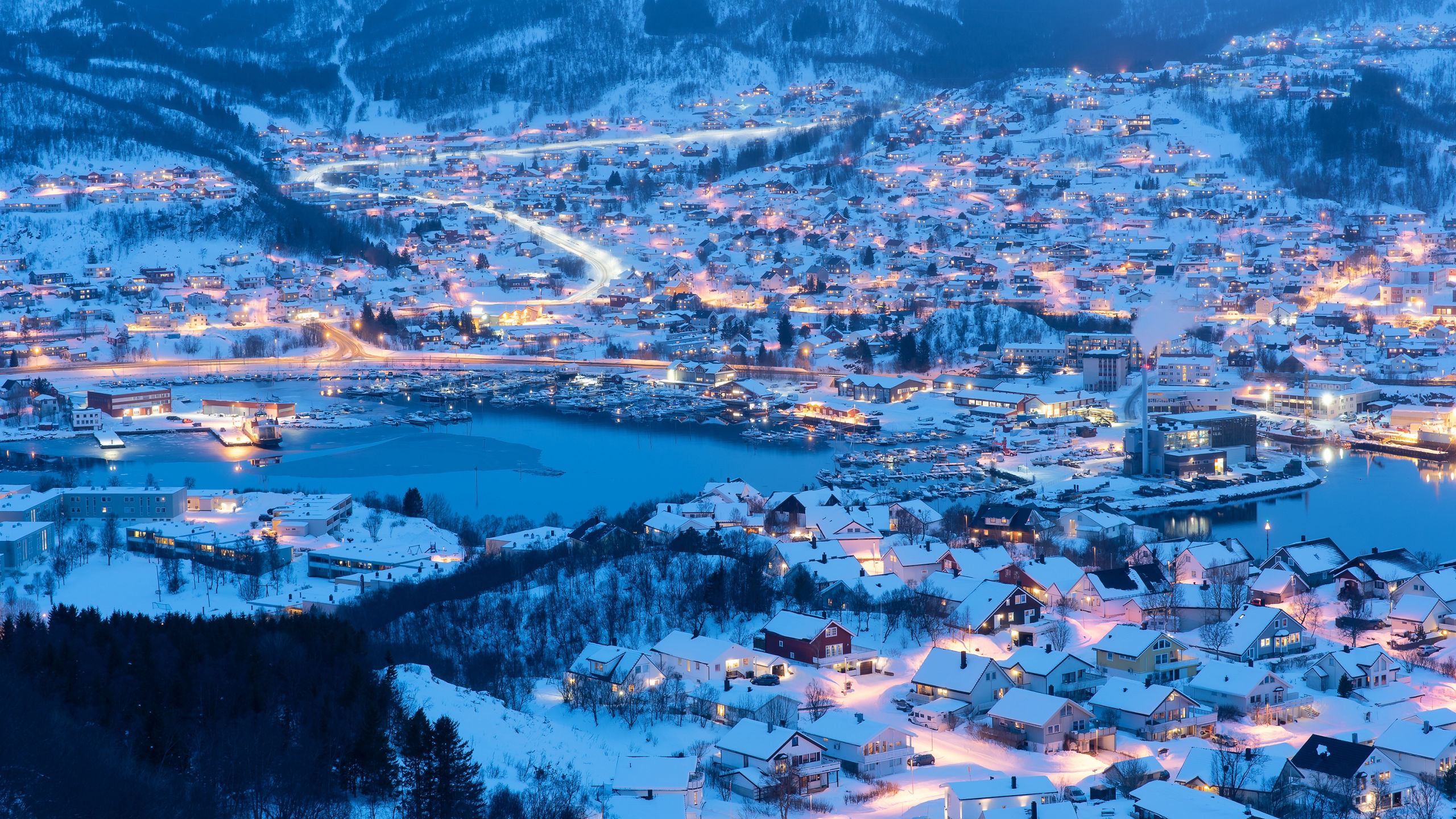 In Search of Northern Lights