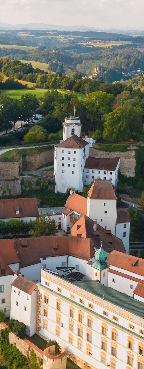 Aerial view of historic European castle