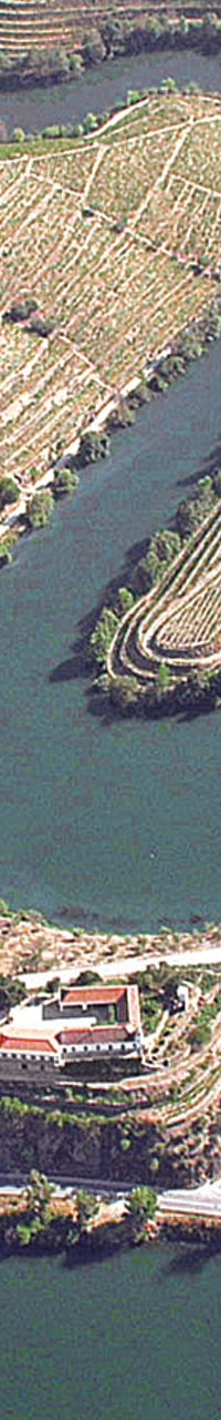 Aerial view of terraced vineyards and river