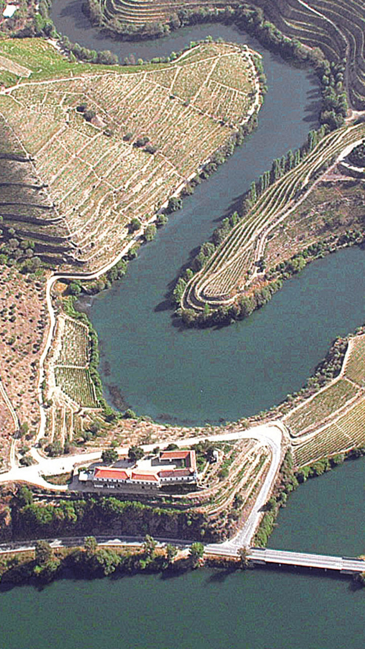 Aerial view of terraced vineyards and river