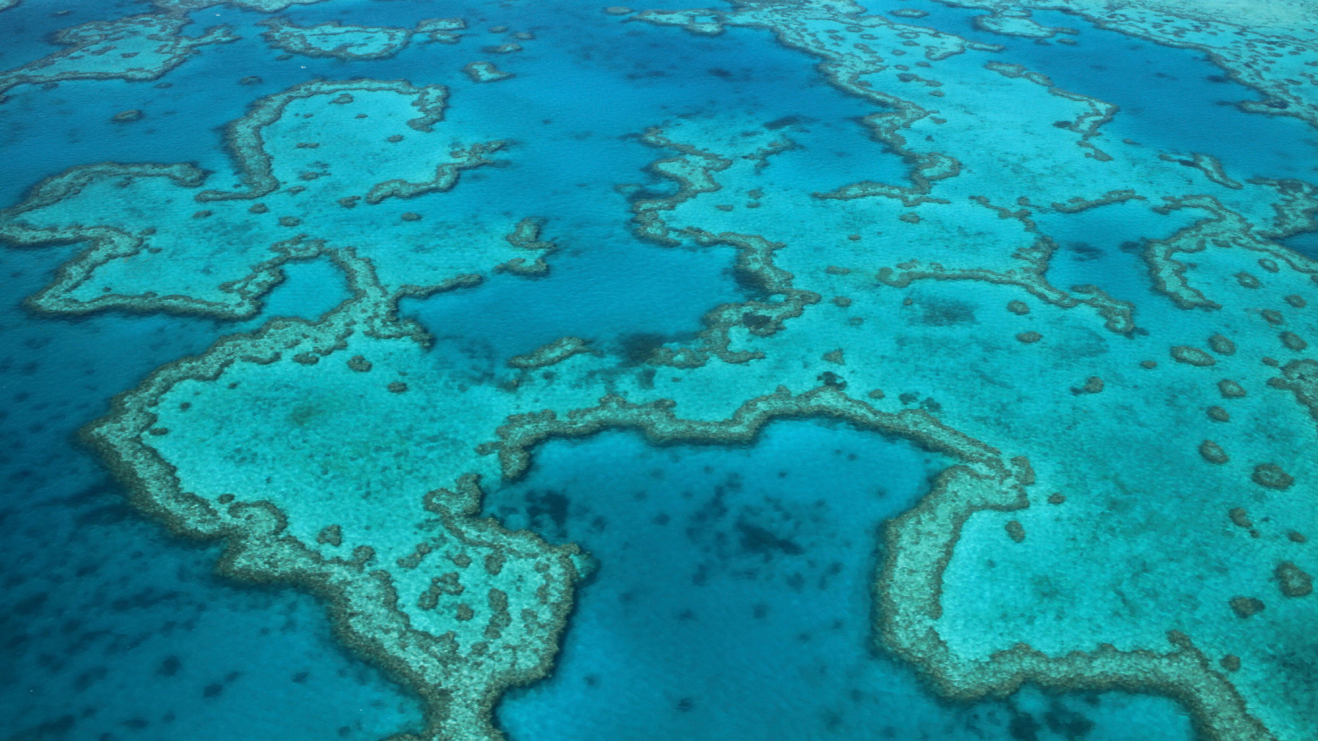 Viking World Discoveries