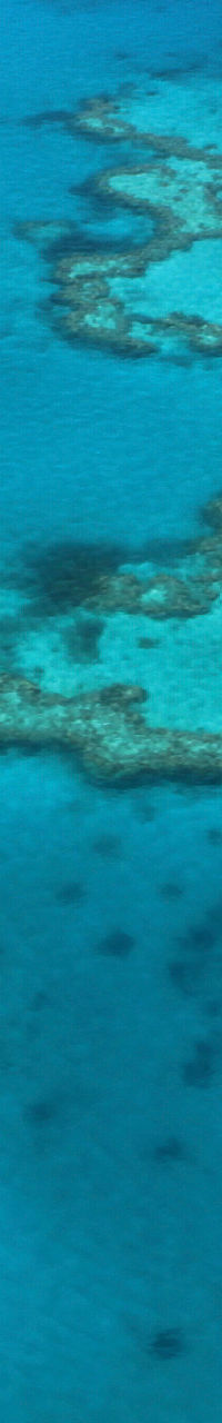 Aerial view of vibrant coral reef lagoon
