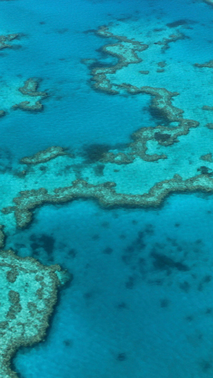 Aerial view of vibrant coral reef lagoon