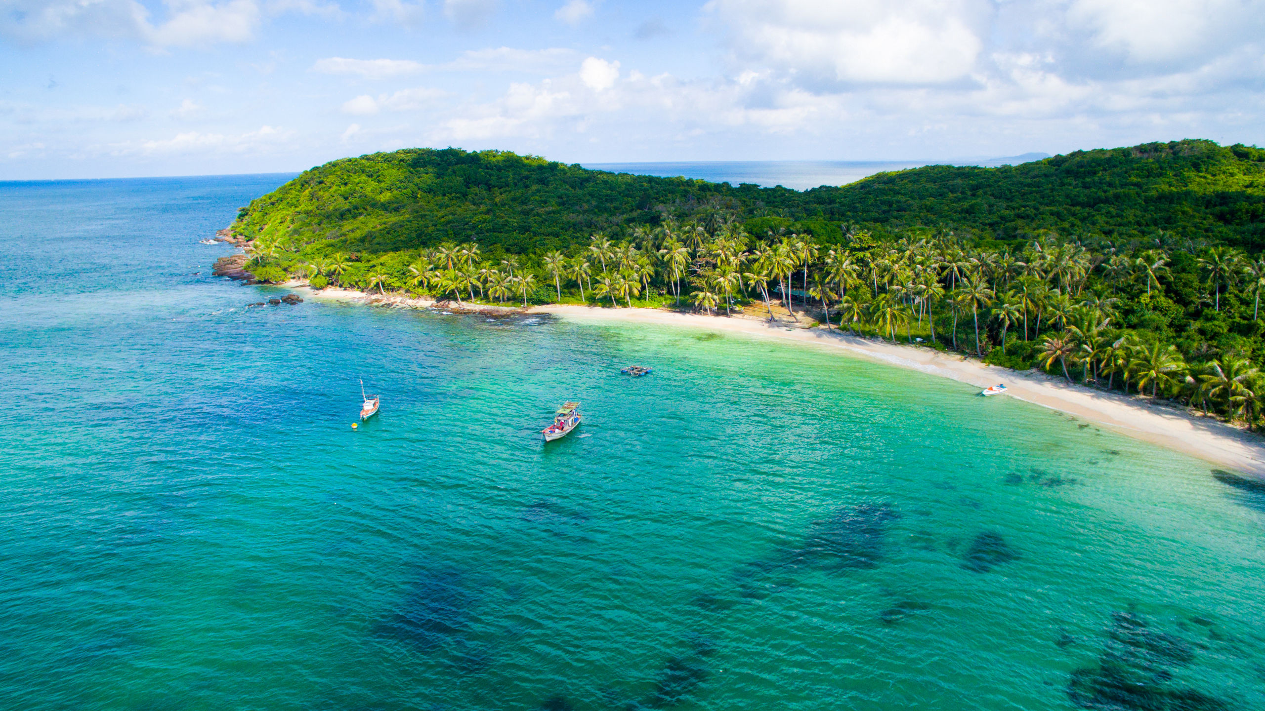 Australia, Asia & Alaska