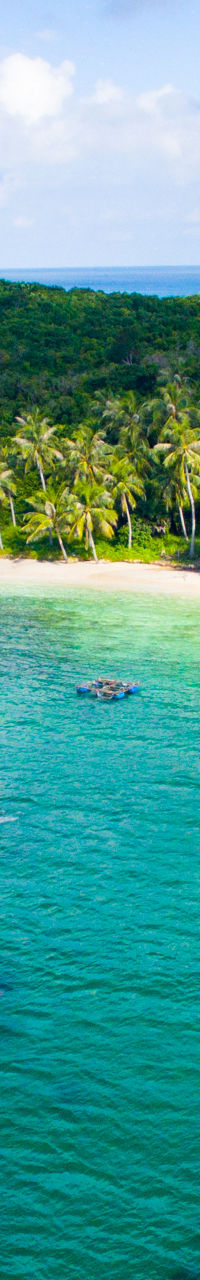 Tropical island with lush greenery and boats