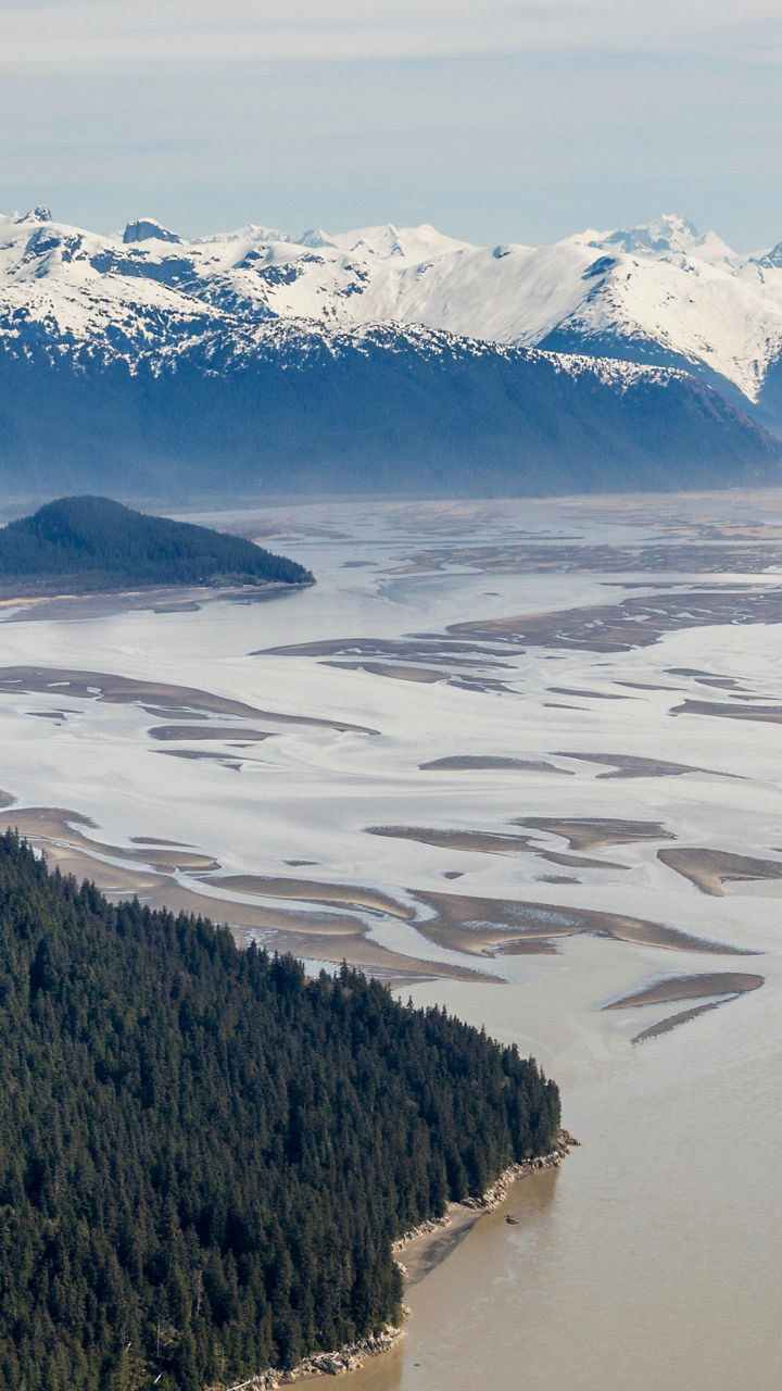 Stikine Icecap Flightseeing
