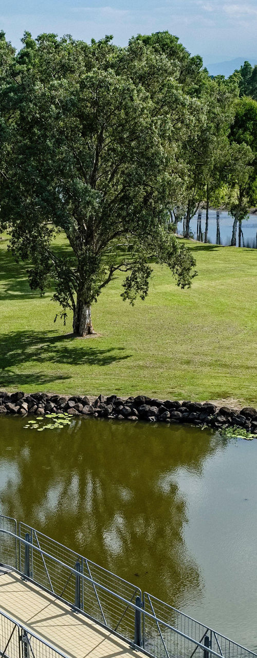 Curved footbridge over tranquil park lagoon