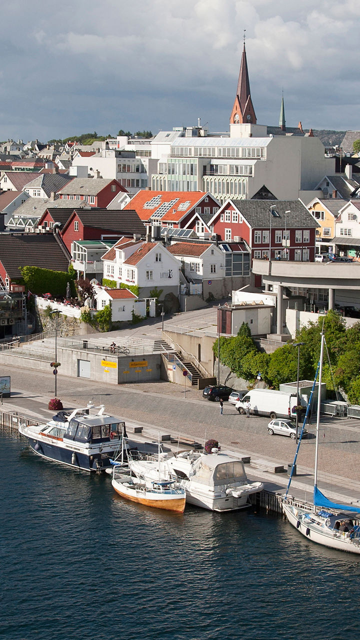 Scenic harbor view with boats and town