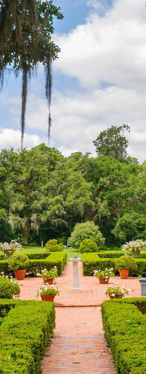 Lush garden with symmetrical hedges and trees