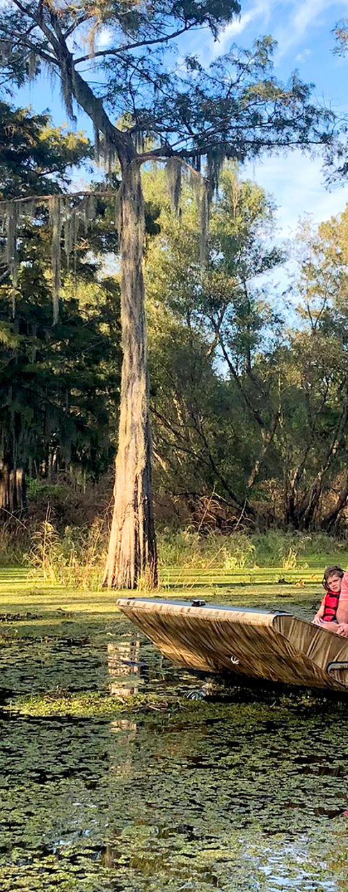 Group on airboat in scenic swamp