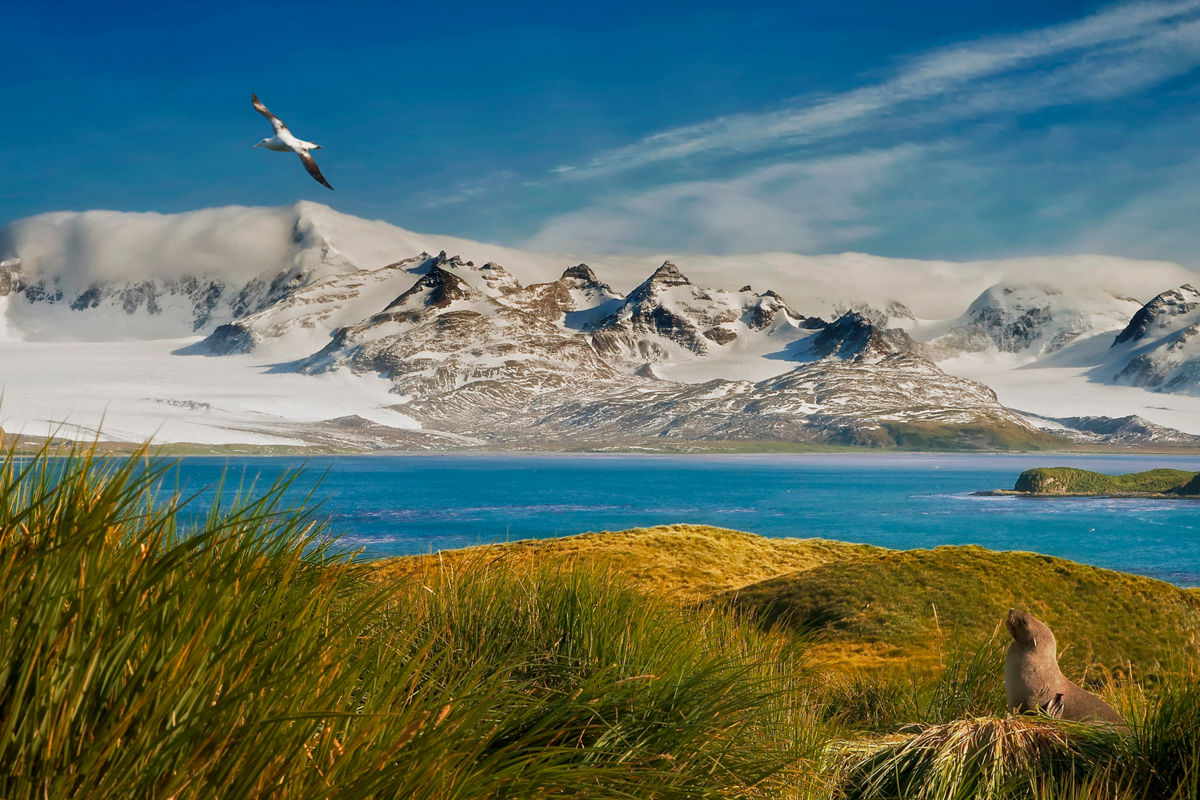 Antarctica & South Georgia Island