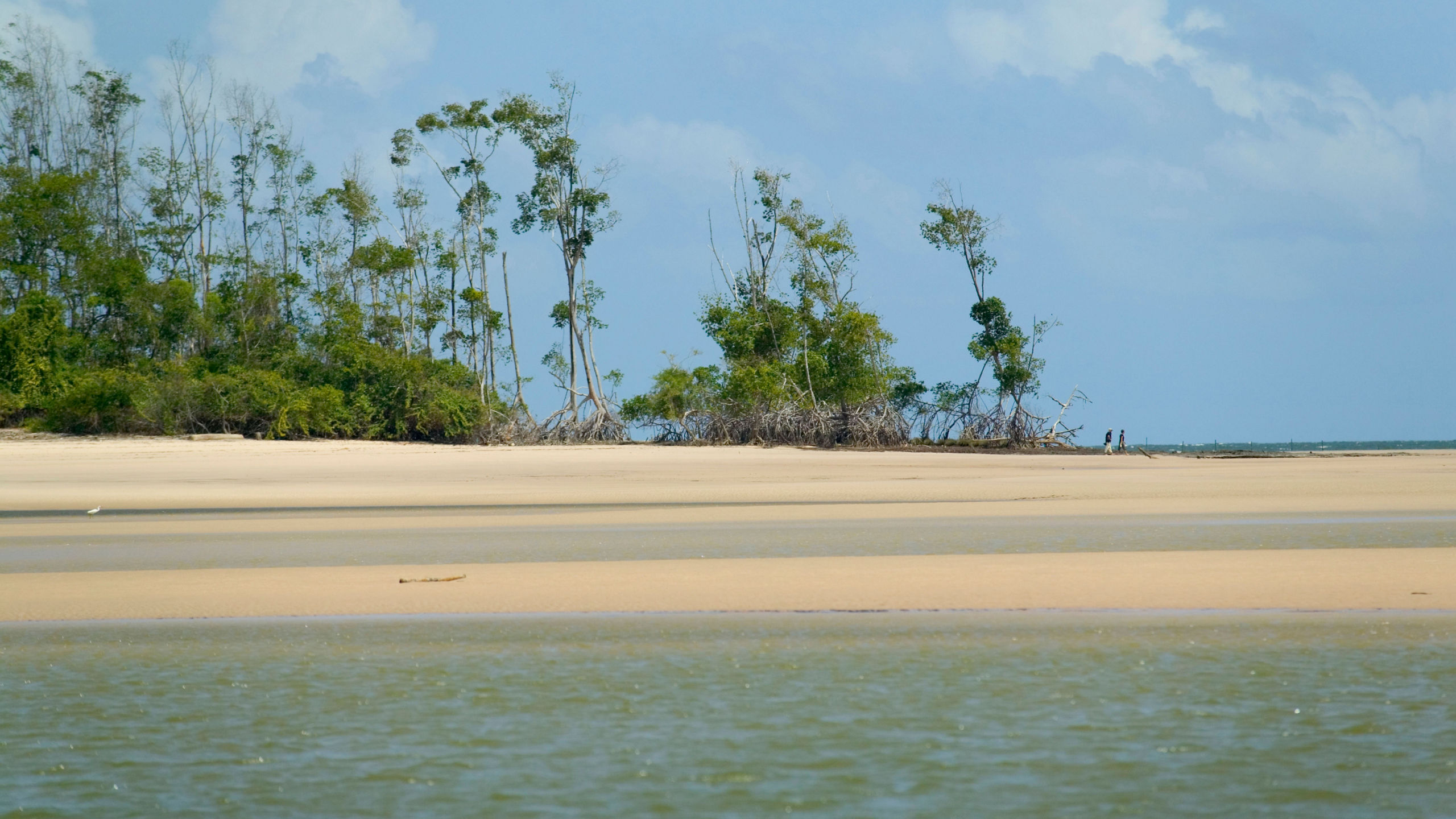From the Caribbean to the Amazon
