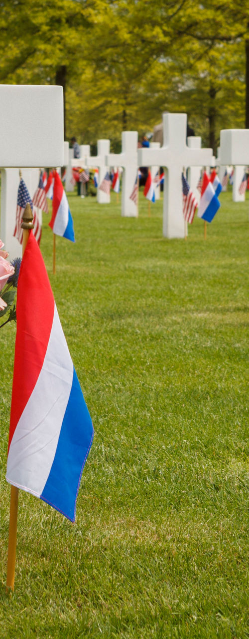Military cemetery with flags and crosses