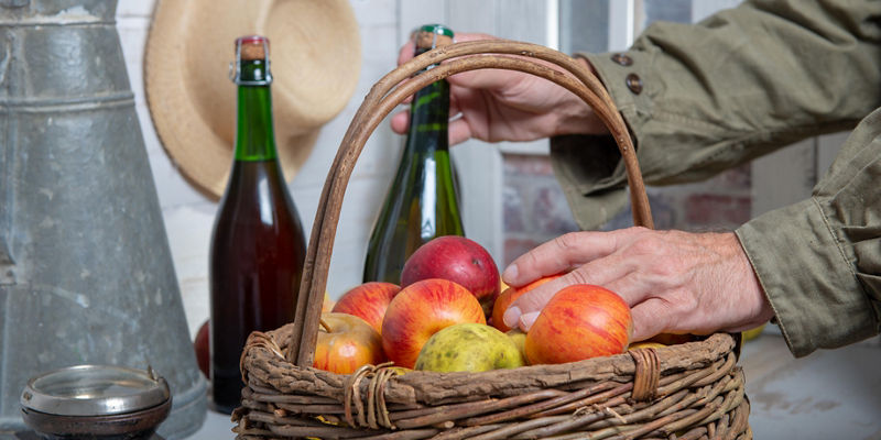 Rustic basket of apples with cider bottles