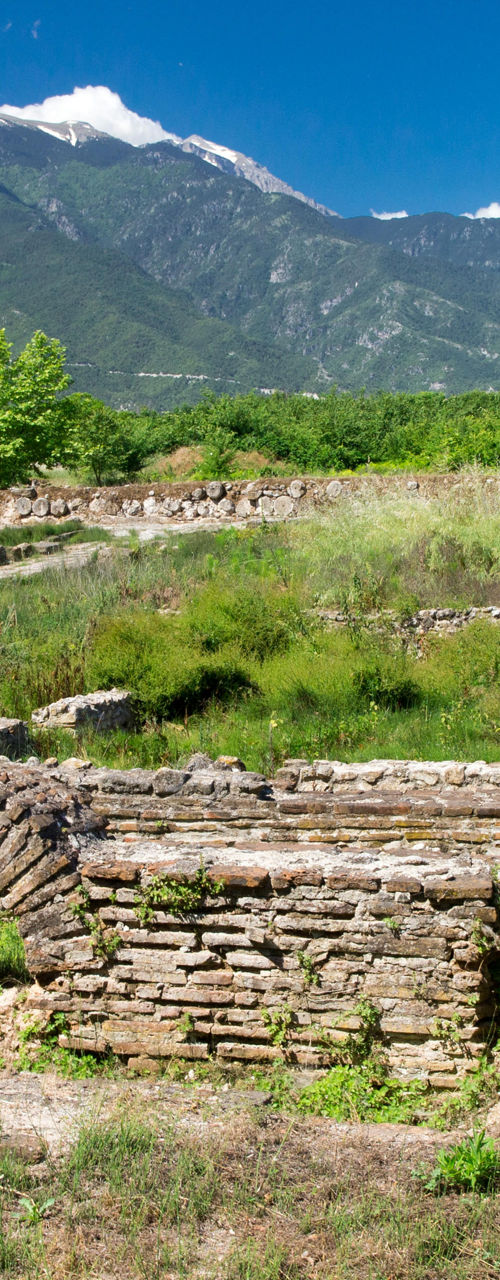 Ancient ruins with mountain backdrop