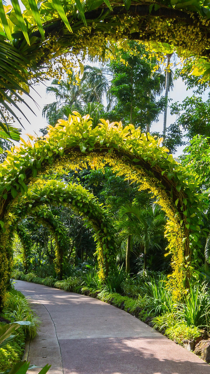 Botanical Gardens & Afternoon Tea