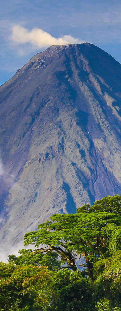 Majestic volcano with lush forest landscape