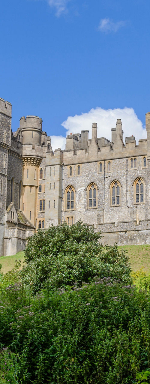 Historic Castle Amid Lush Greenery