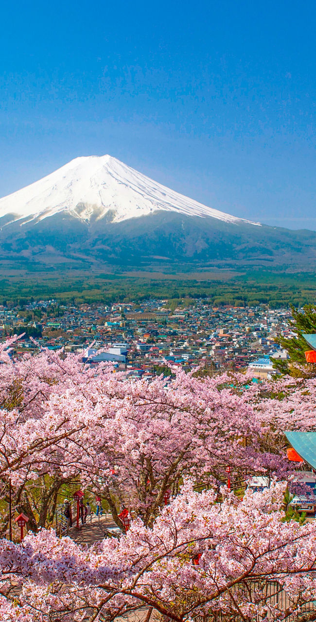 Mount Fuji with cherry blossoms and pagoda