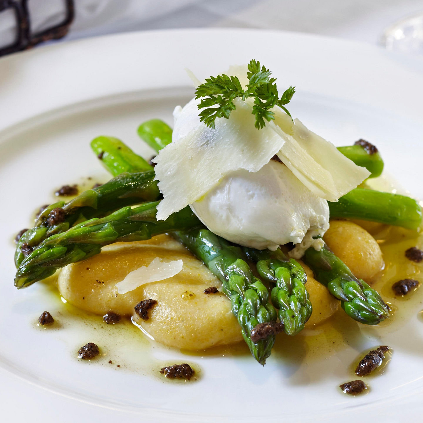 Elegant asparagus dish with poached egg